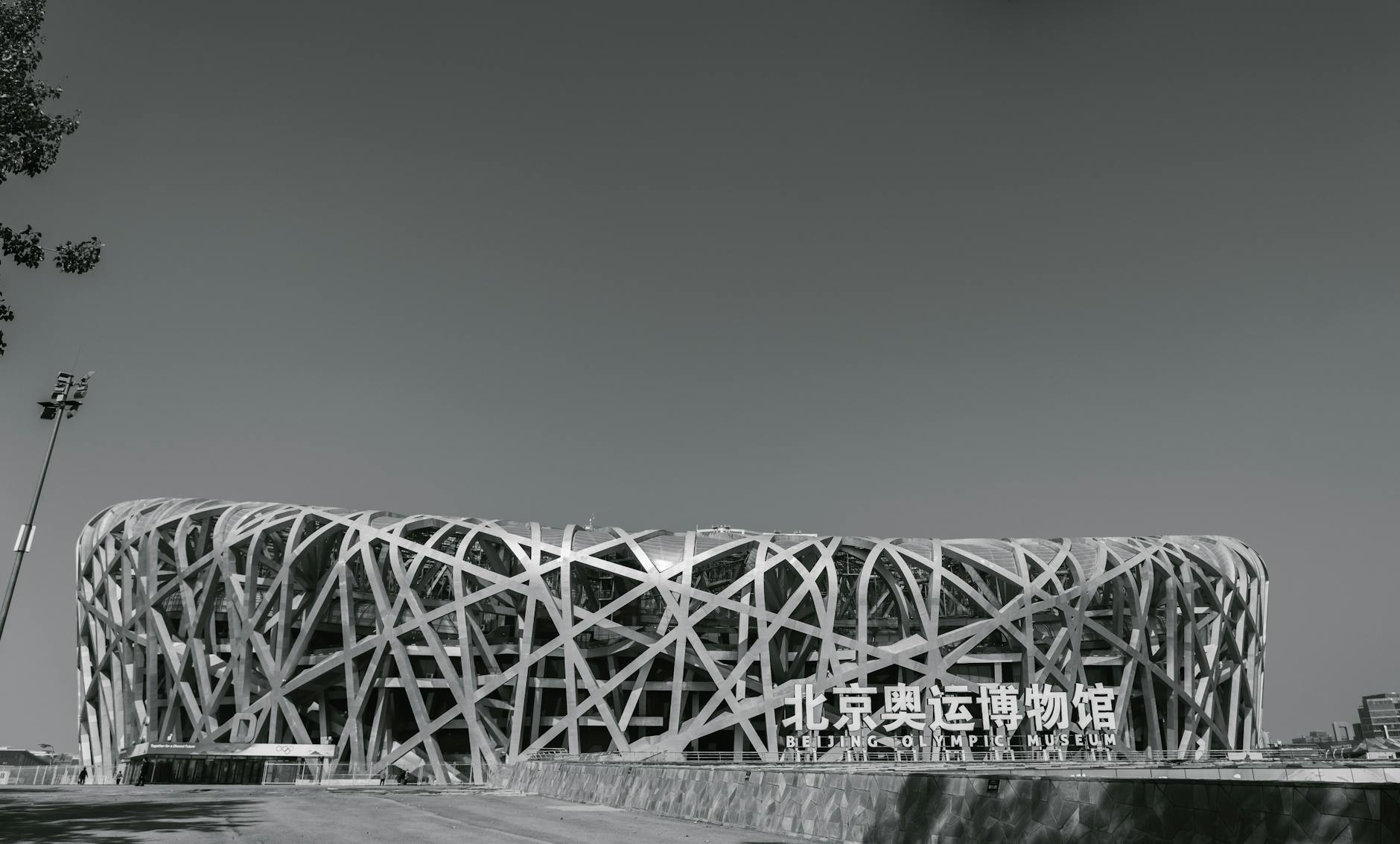 Black and white image of Beijing's iconic Bird's Nest stadium, showcasing its unique architecture.
