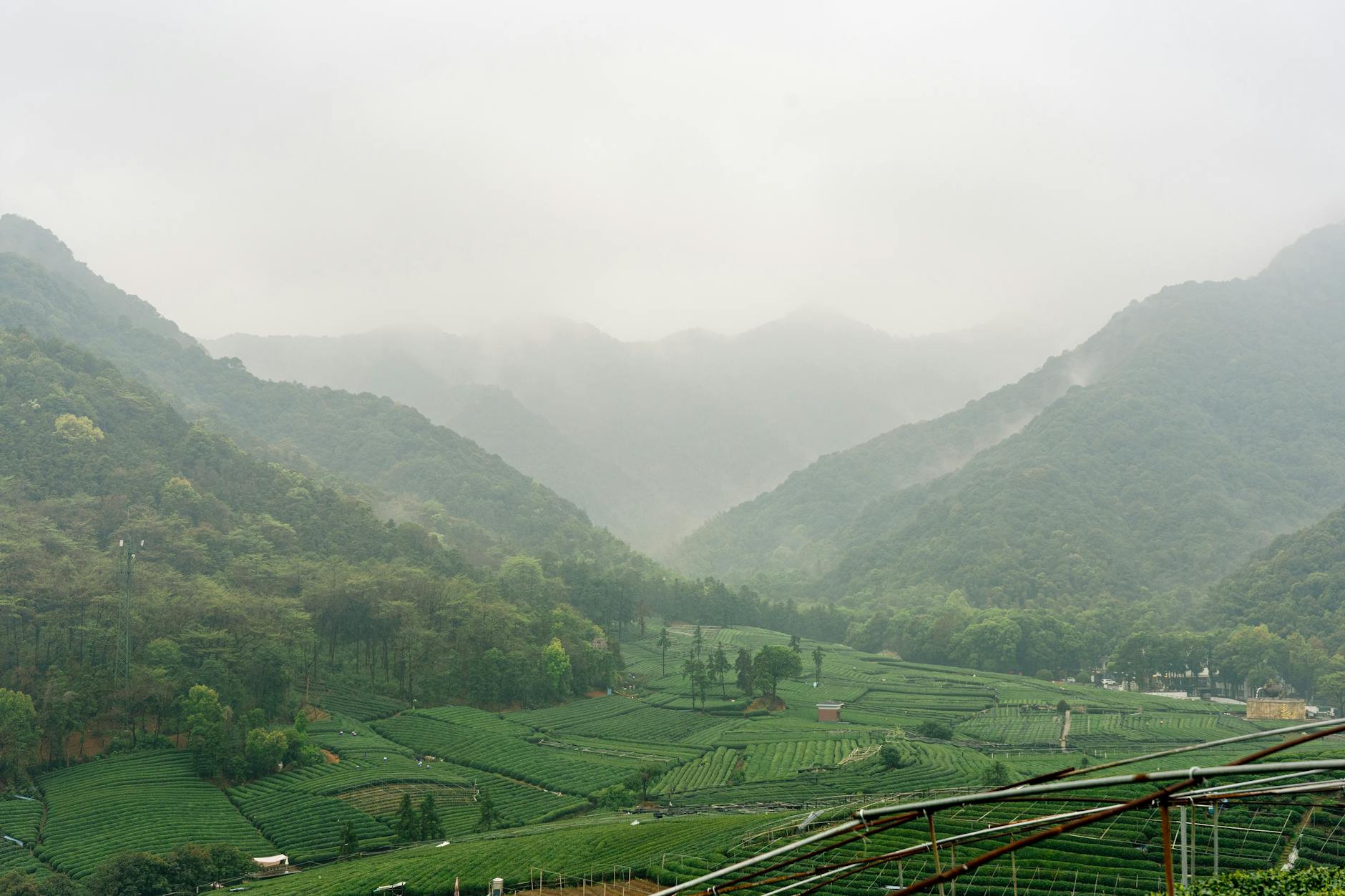 A breathtaking view of misty mountains and lush green fields in Hangzhou, Zhejiang, China.