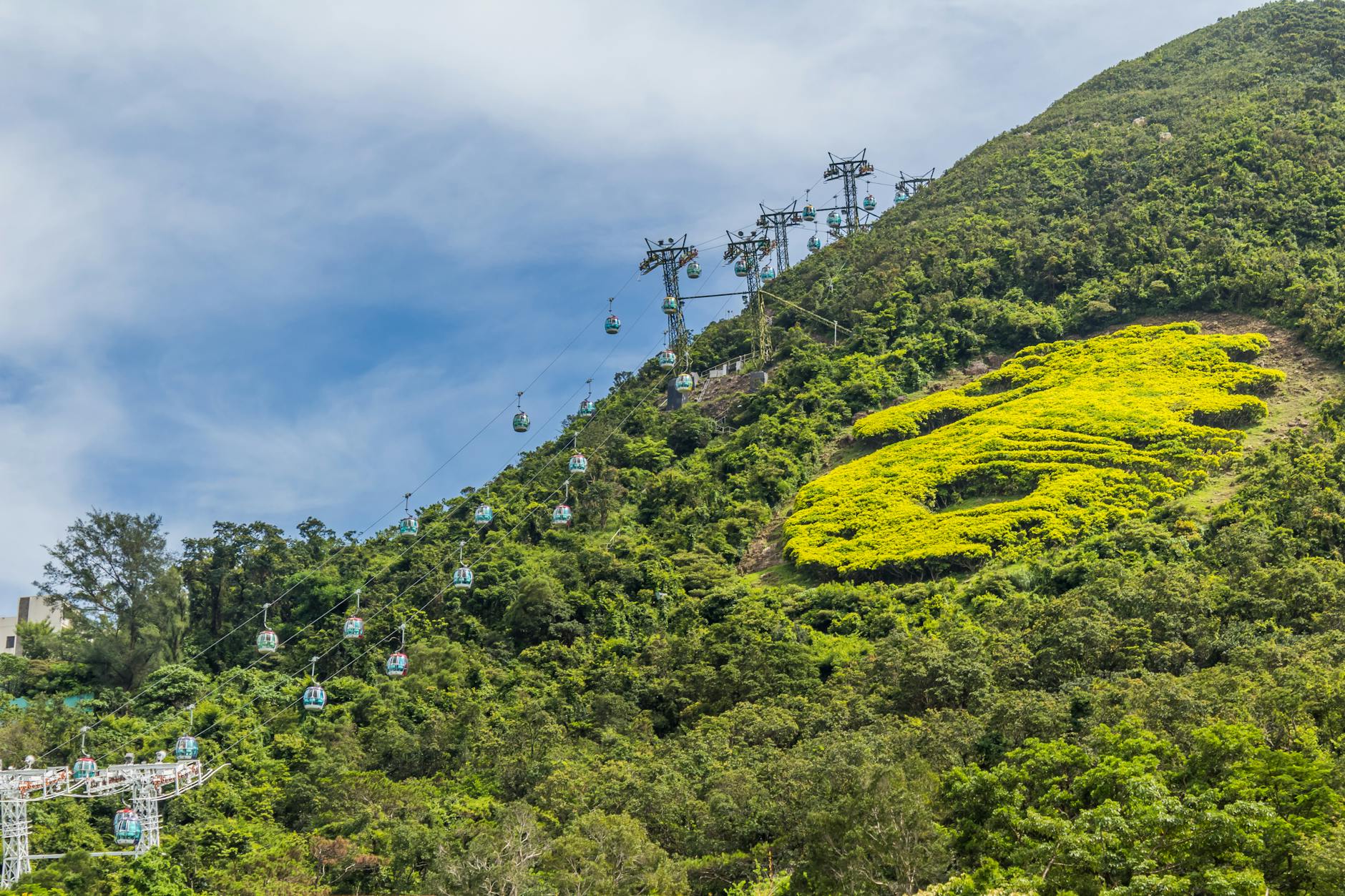 A cable car system traversing lush green hills in Hong Kong, showcasing stunning natural landscapes.