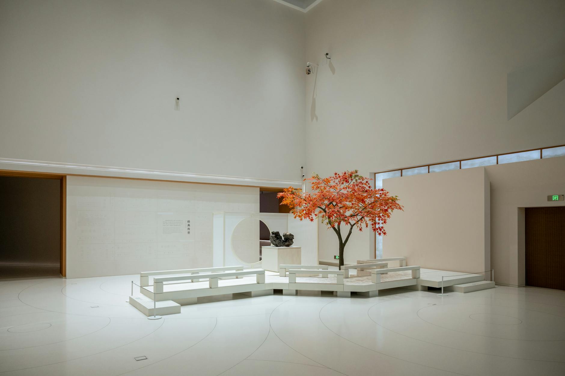 A minimalist indoor art installation featuring a vibrant autumn tree set in a gallery in Shanghai.
