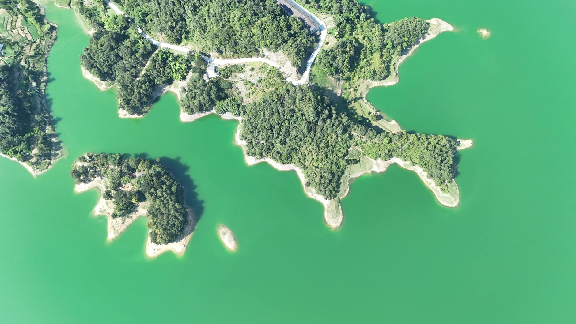 A stunning aerial shot of vibrant green lake with lushly wooded islands, showcasing natural beauty.