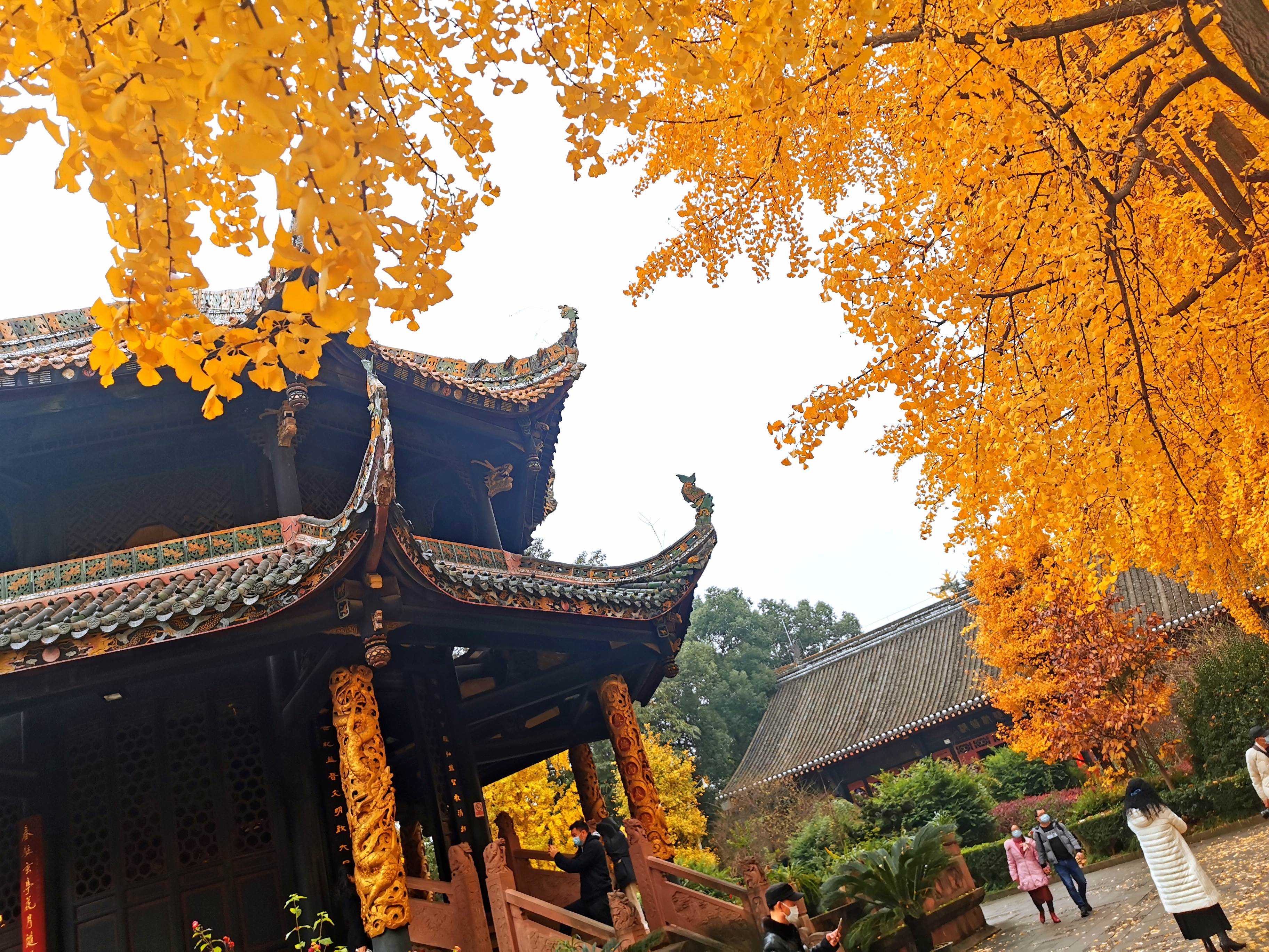 青羊宫 实景照片
