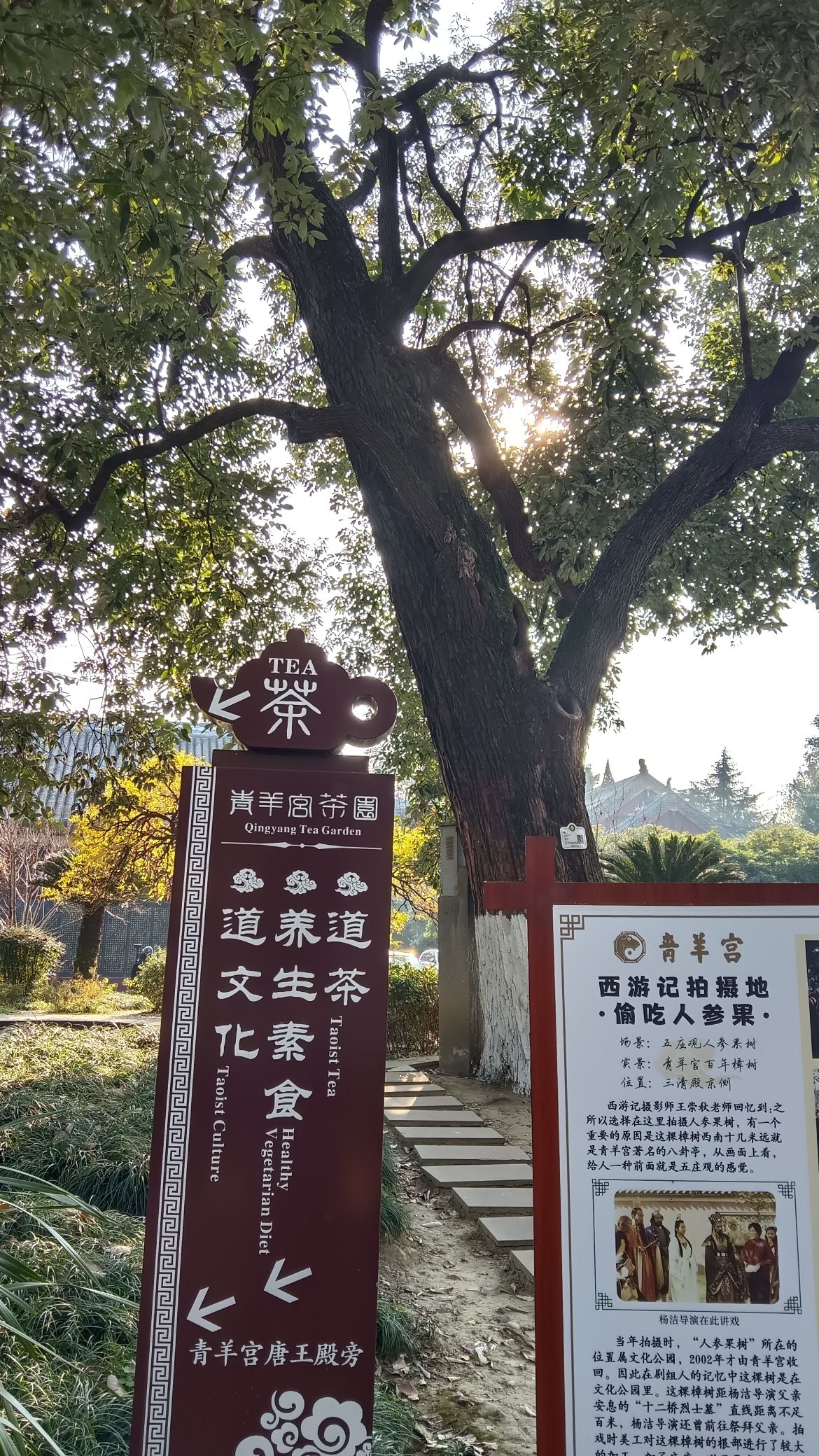 青羊宫 实景照片