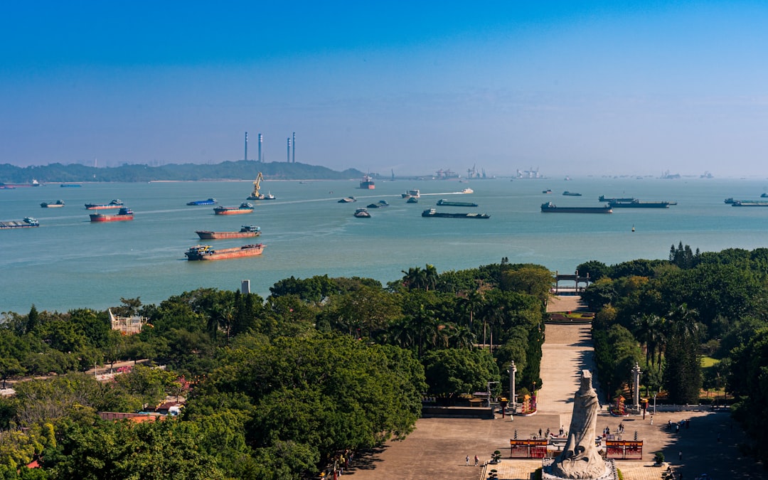 Ships on the ocean near a green park.