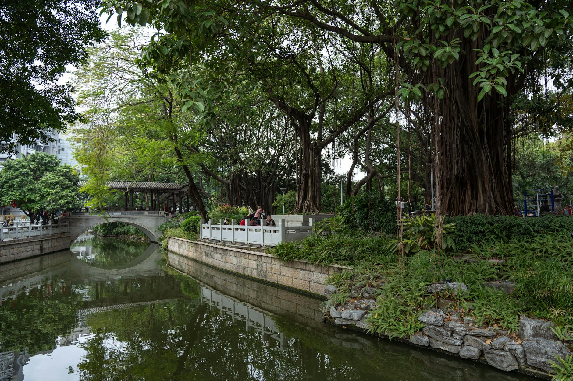 Tranquil park scene in Guangzhou featuring lush greenery, a stone bridge, and serene water reflections.