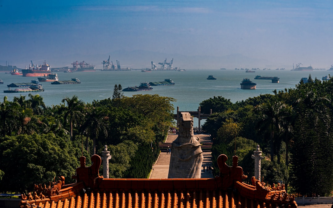 Ships and harbor seen from a scenic overlook