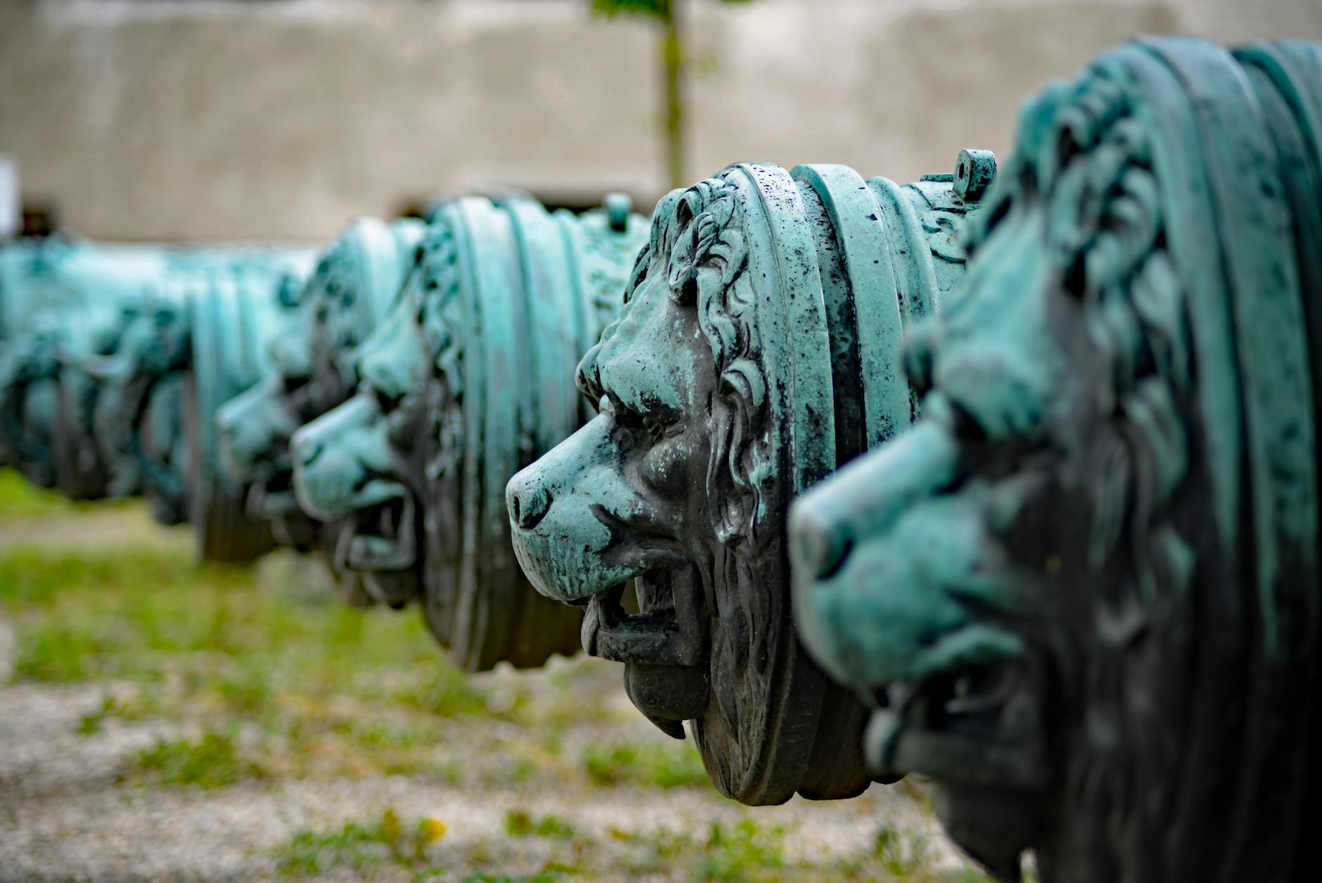 Bronze lion-headed cannons on display at an Ingolstadt museum, Germany.