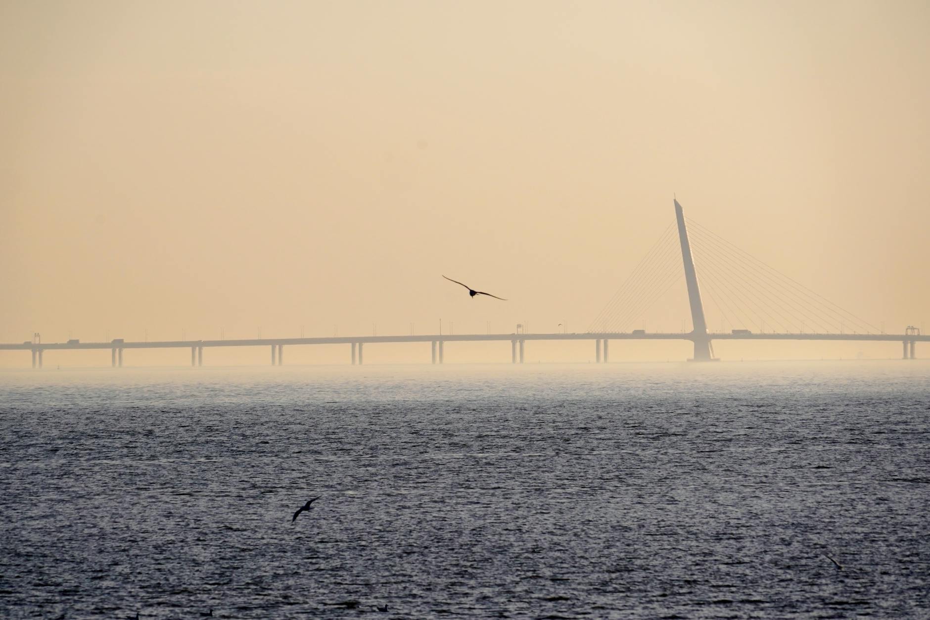 Captivating view of Shenzhen Bay Bridge amidst serene sea and flying birds in twilight.