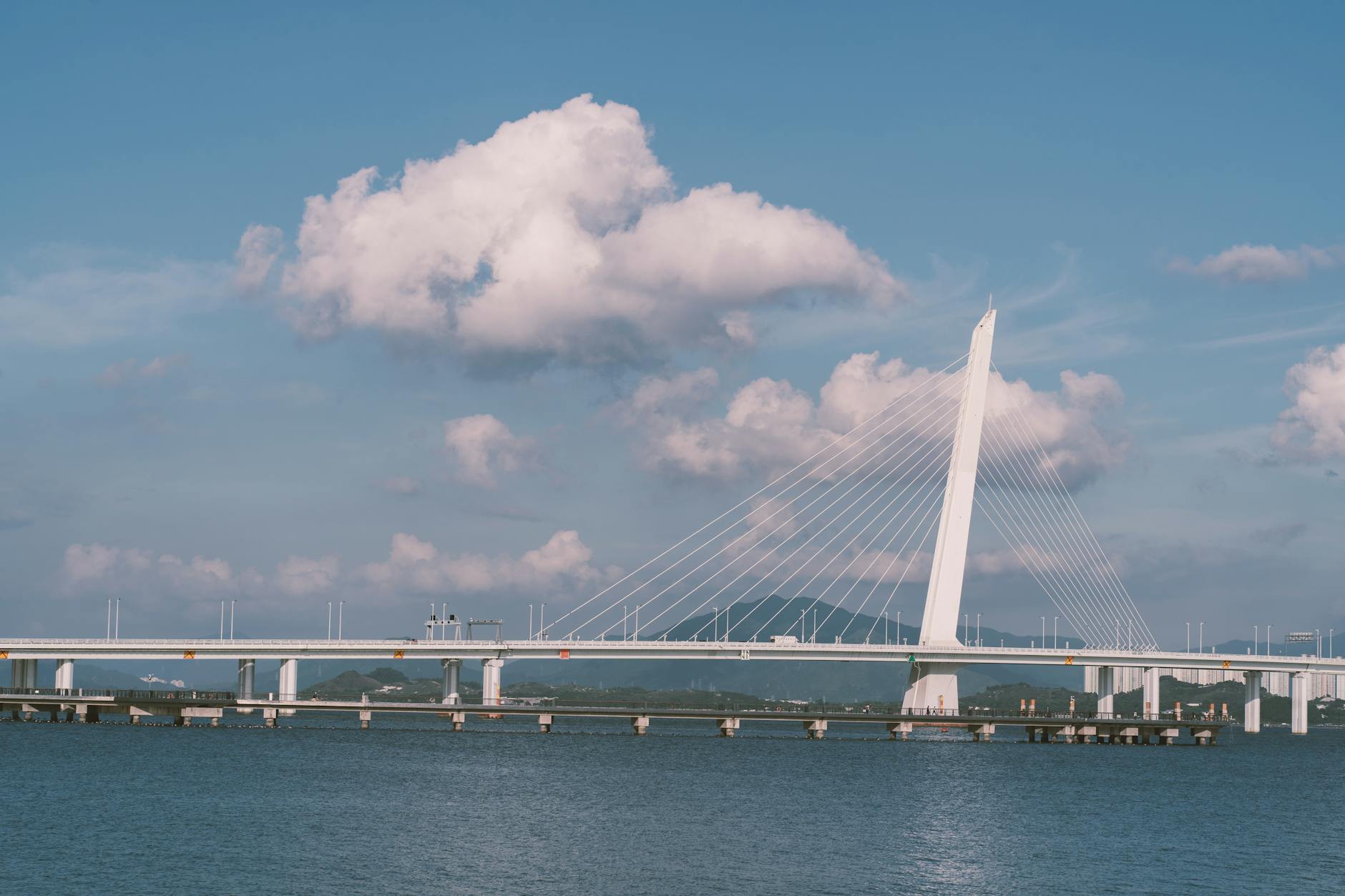 Shenzhen Bay Park