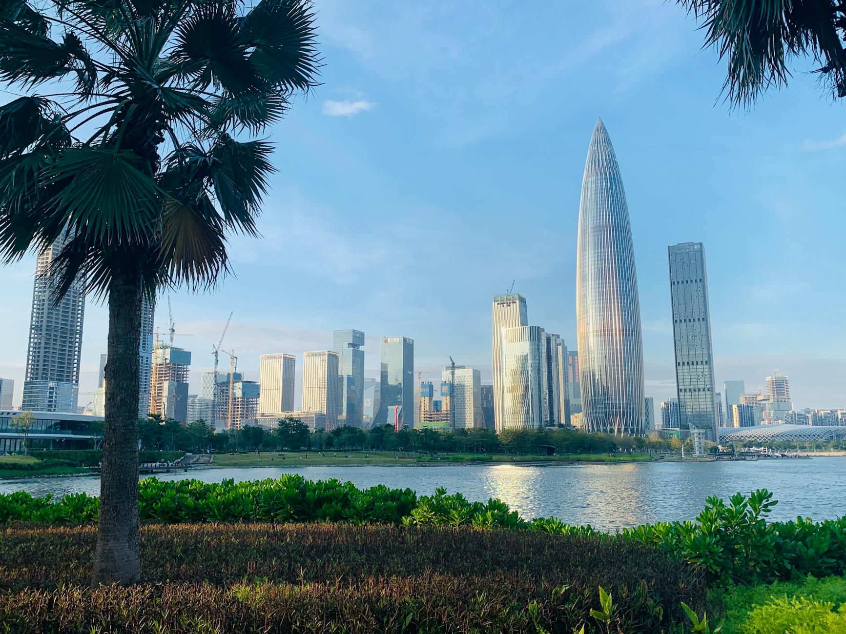 Stunning view of Shenzhen's skyline and nature, highlighting the iconic skyscrapers by the waterfront.