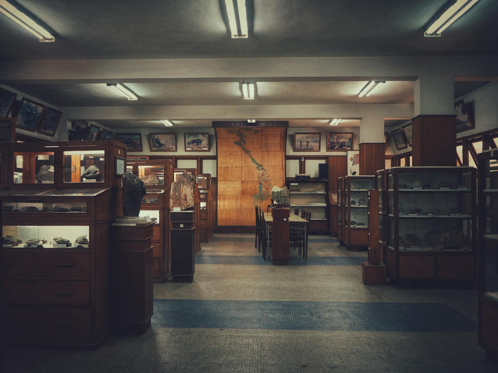 Classic museum interior featuring wooden display cases and a large wall map.