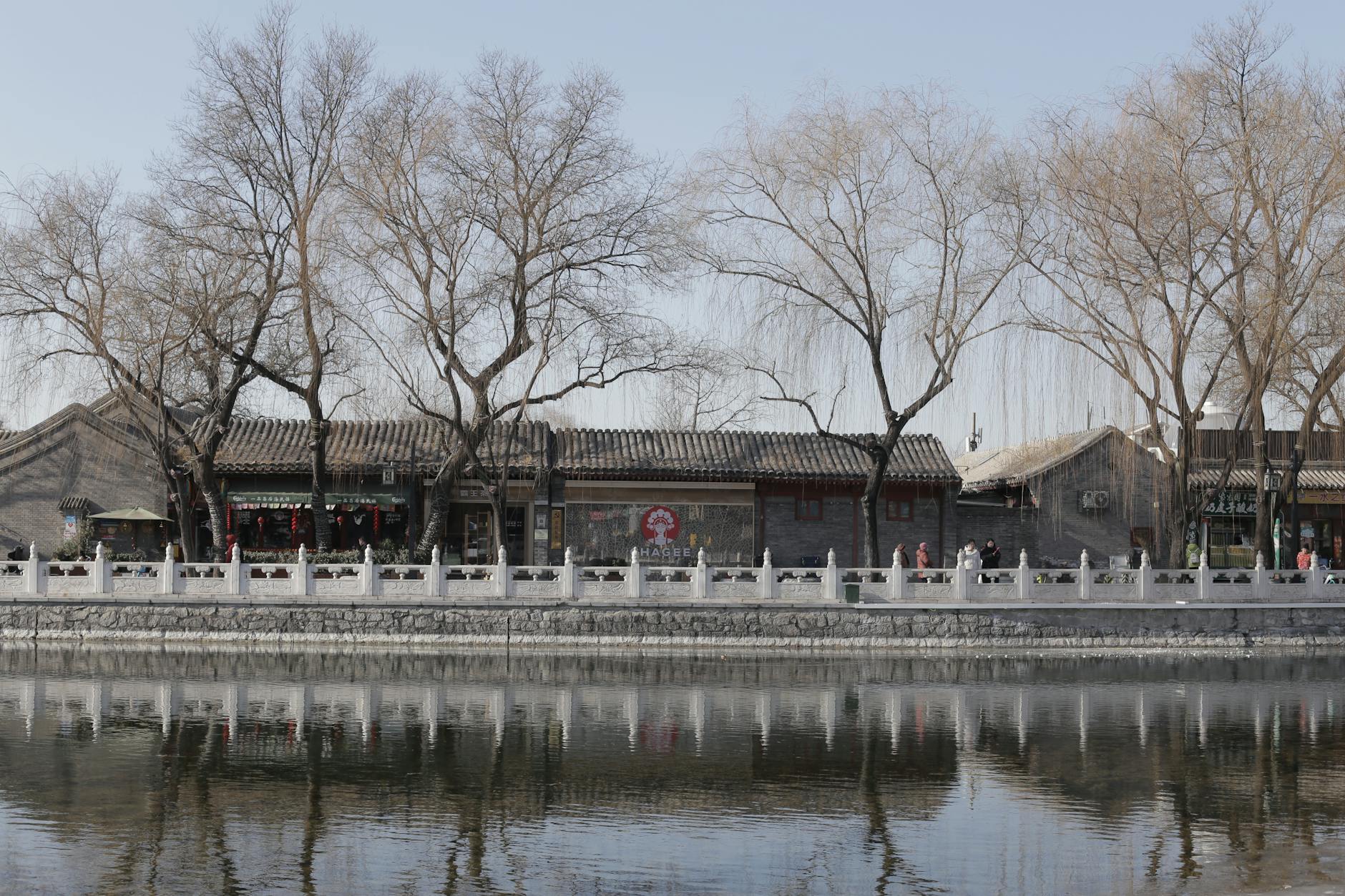 Scenic view of Beijing hutong with leafless trees reflected in the water