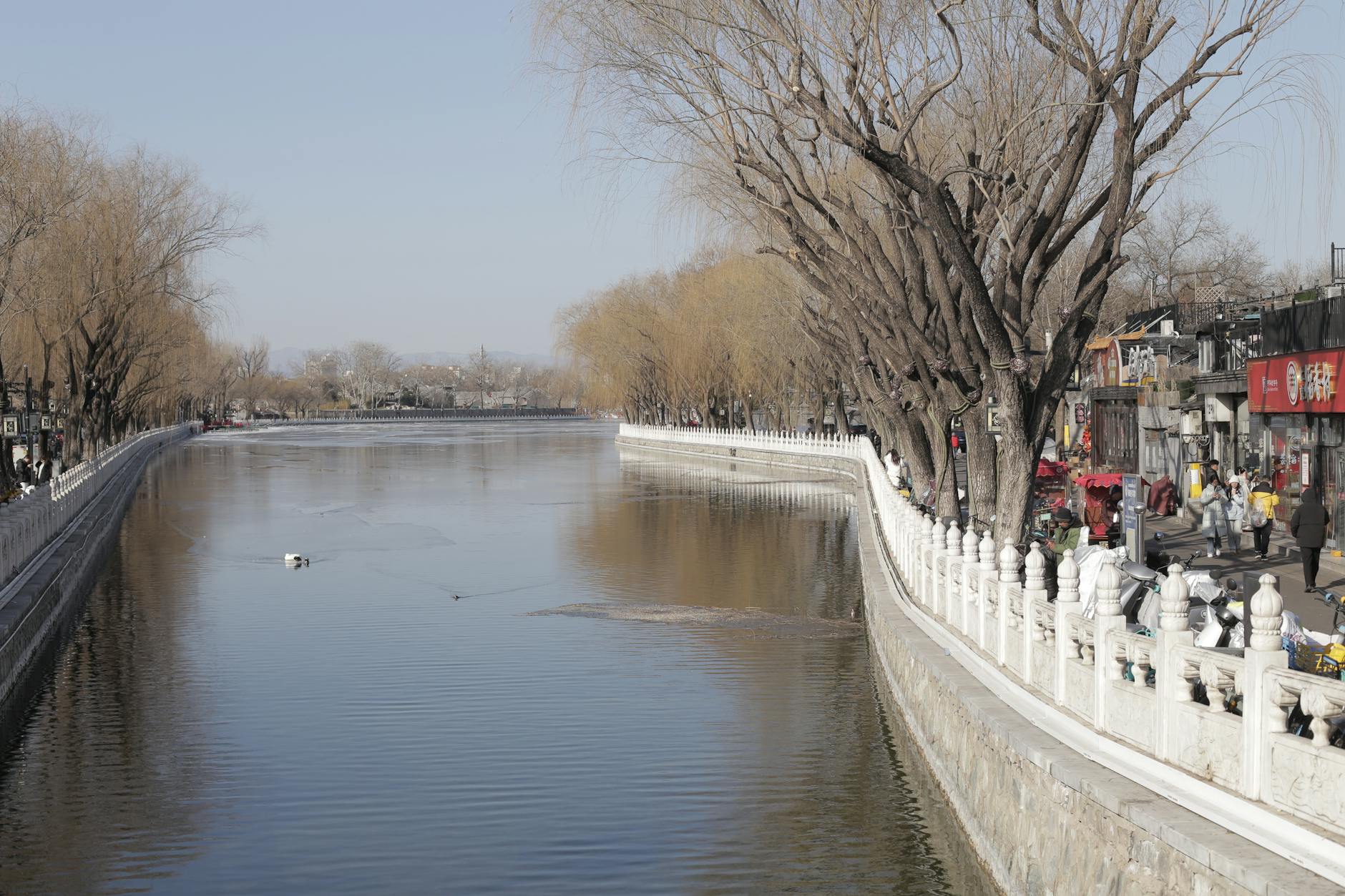 Peaceful winter scene of a canal lined with bare trees on a sunny day.