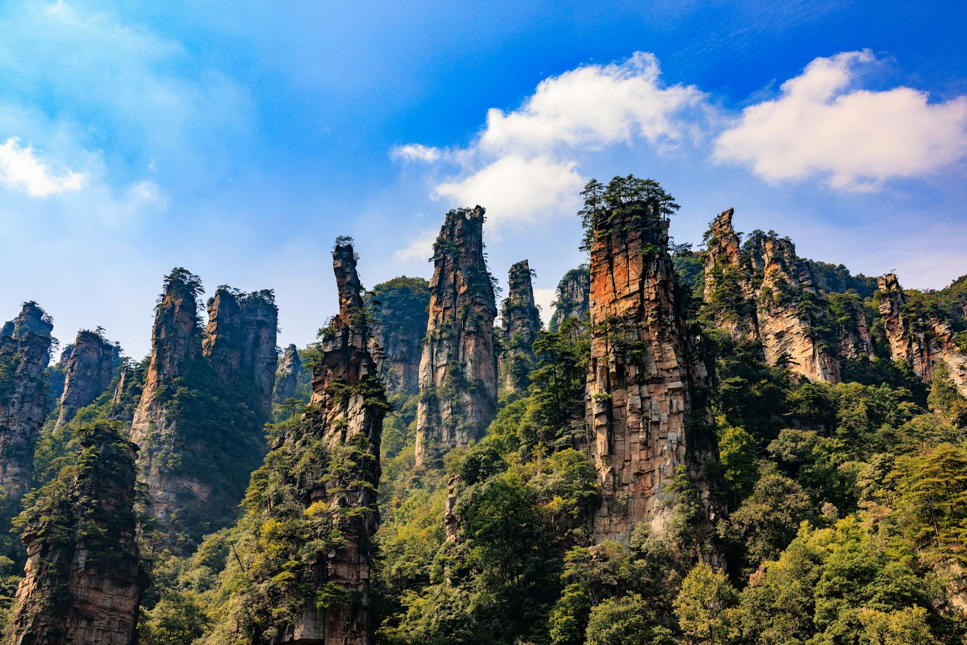 Stunning view of Zhangjiajie's towering stone pillars under a bright blue sky, surrounded by lush greenery.
