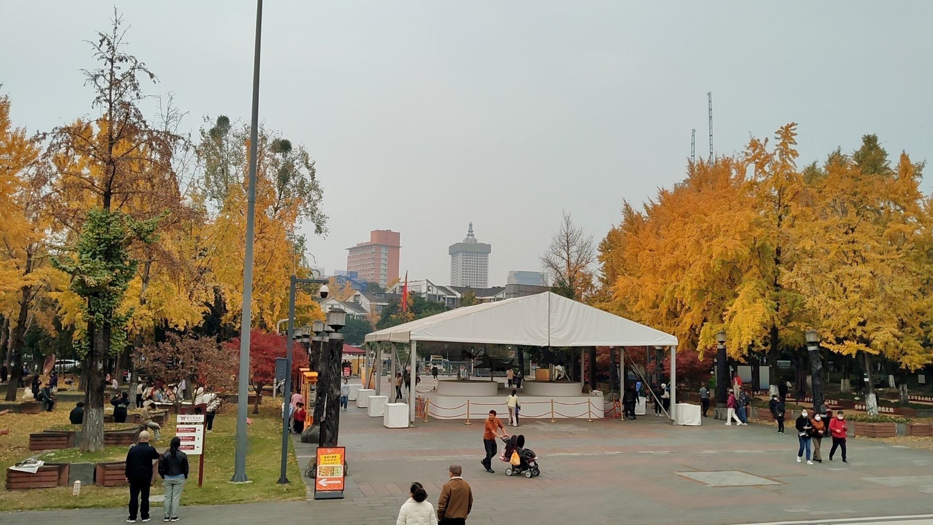 四川博物院 实景照片