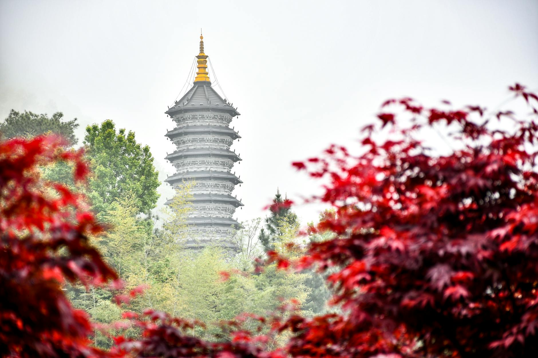 Leifeng Pagoda with vibrant autumn leaves highlights this iconic Hangzhou landmark.