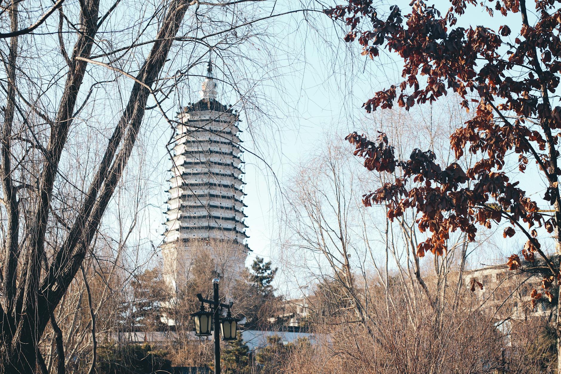 Scenic view of a tall pagoda tower framed by autumn trees. Captures seasonal charm and historic architecture.