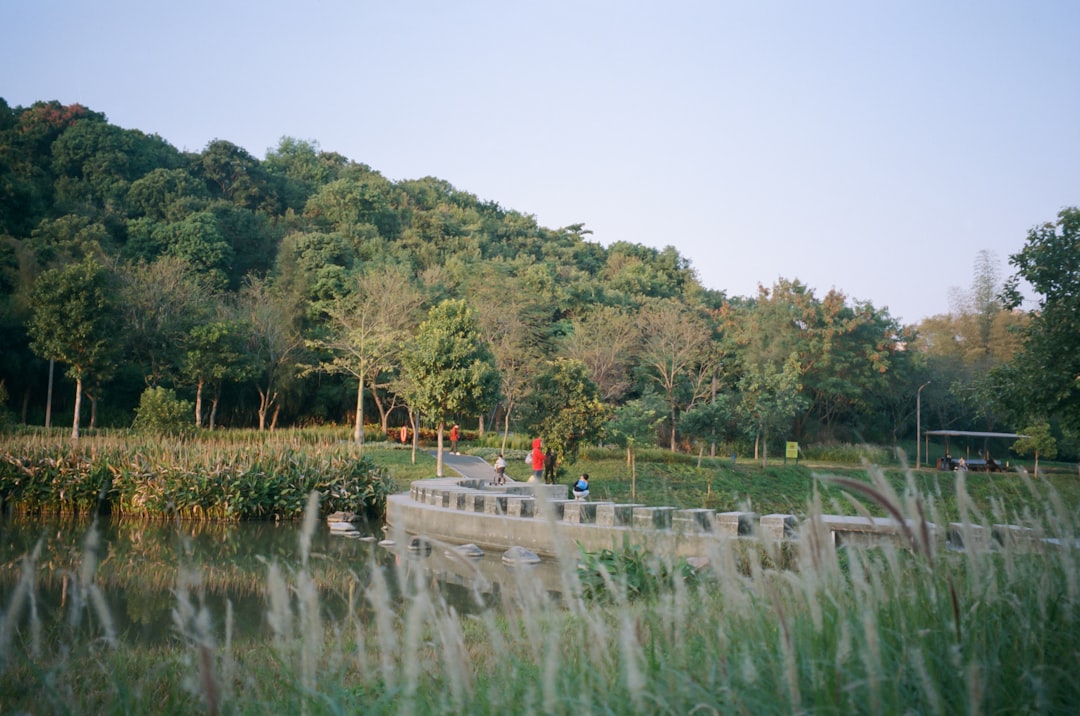 a couple of people walking across a bridge over a river