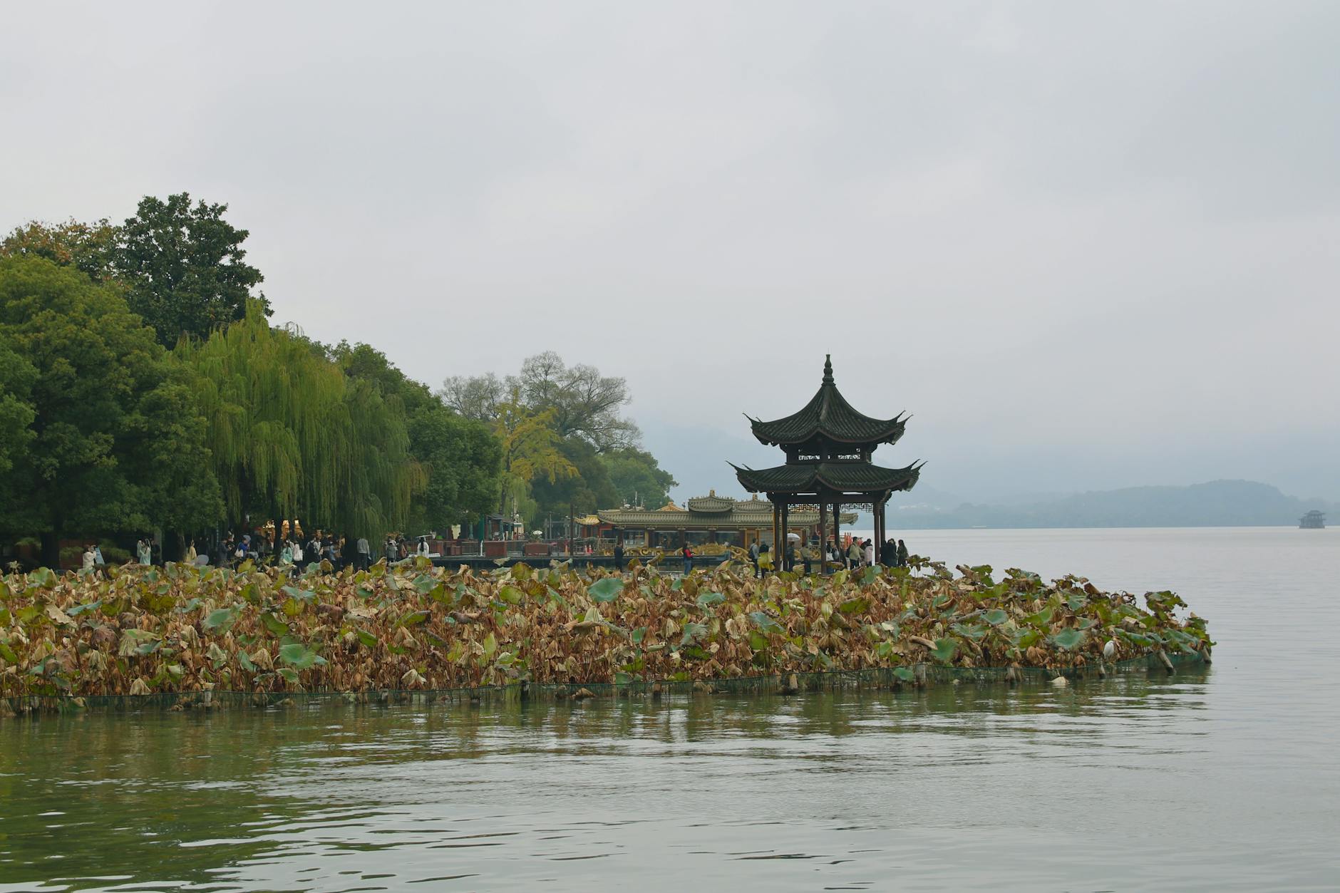 Tranquil view of a pagoda and lush greenery at West Lake, Hangzhou.