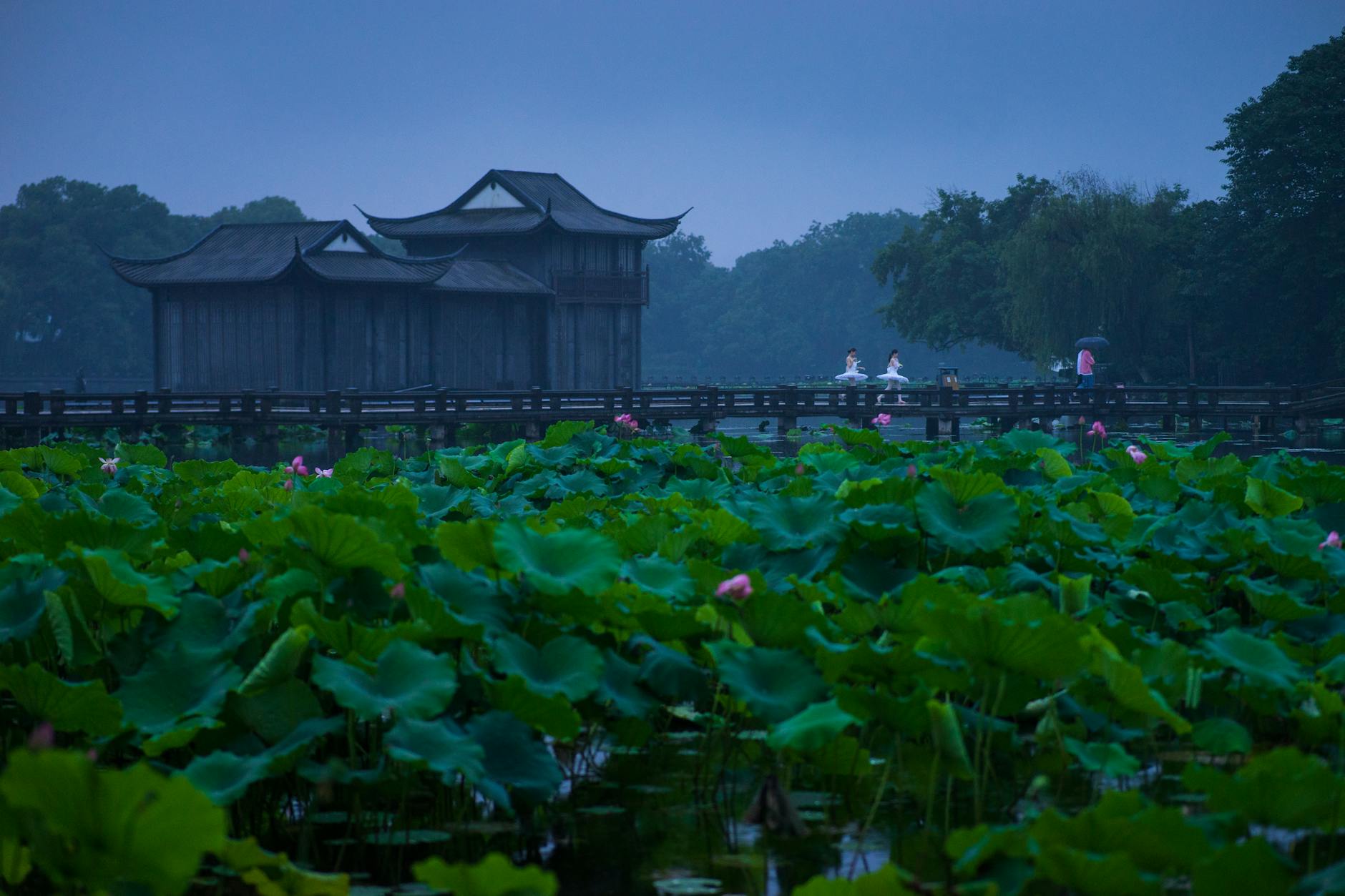 Serene scene of a Chinese pavilion and lotus pond at twilight in Hangzhou, China.