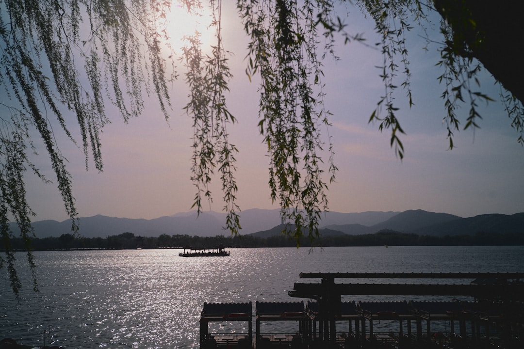 Willow branches frame a tranquil lake at sunset.