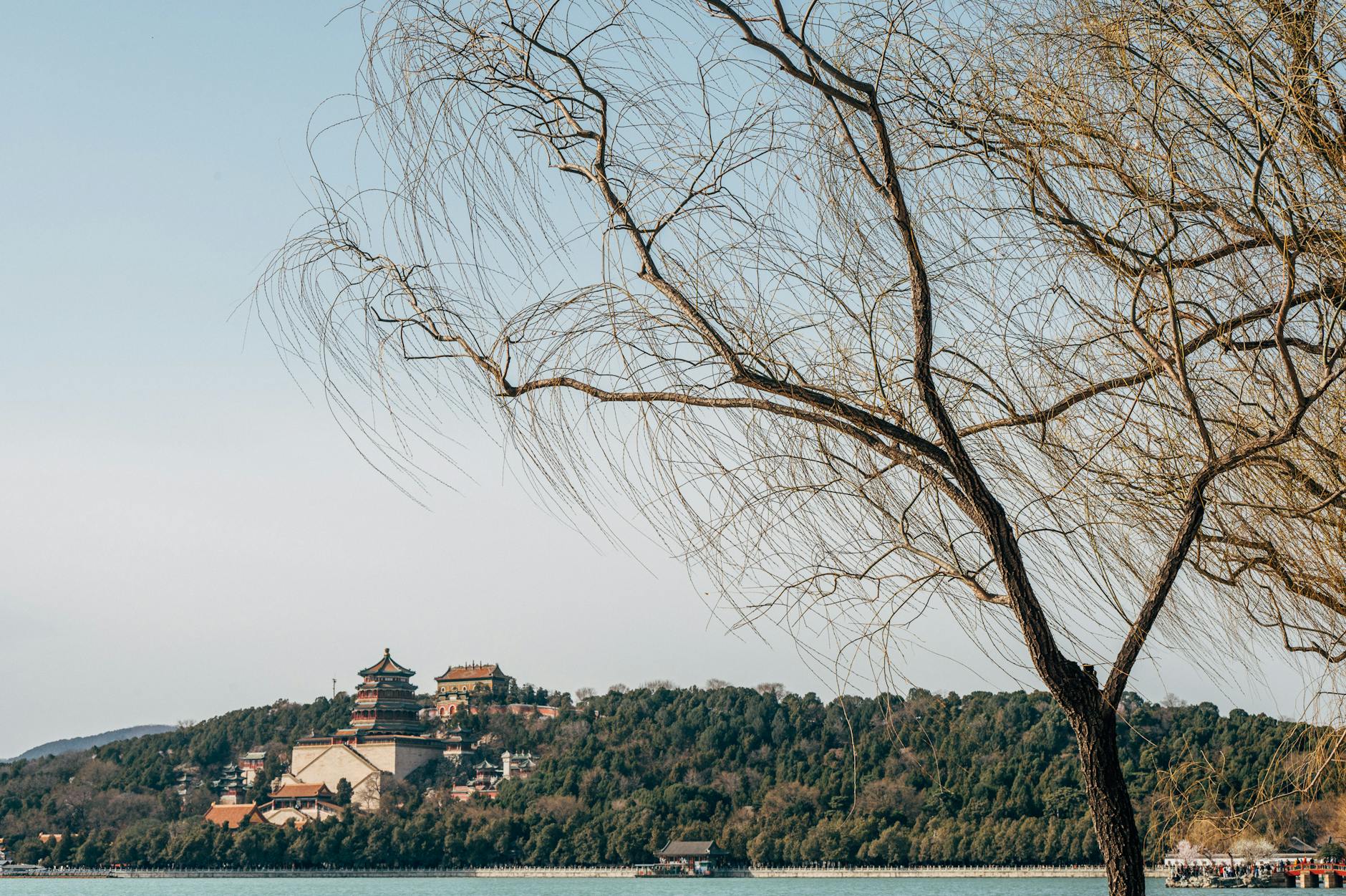 Scenic view of the Summer Palace with tree in foreground, Beijing, China.