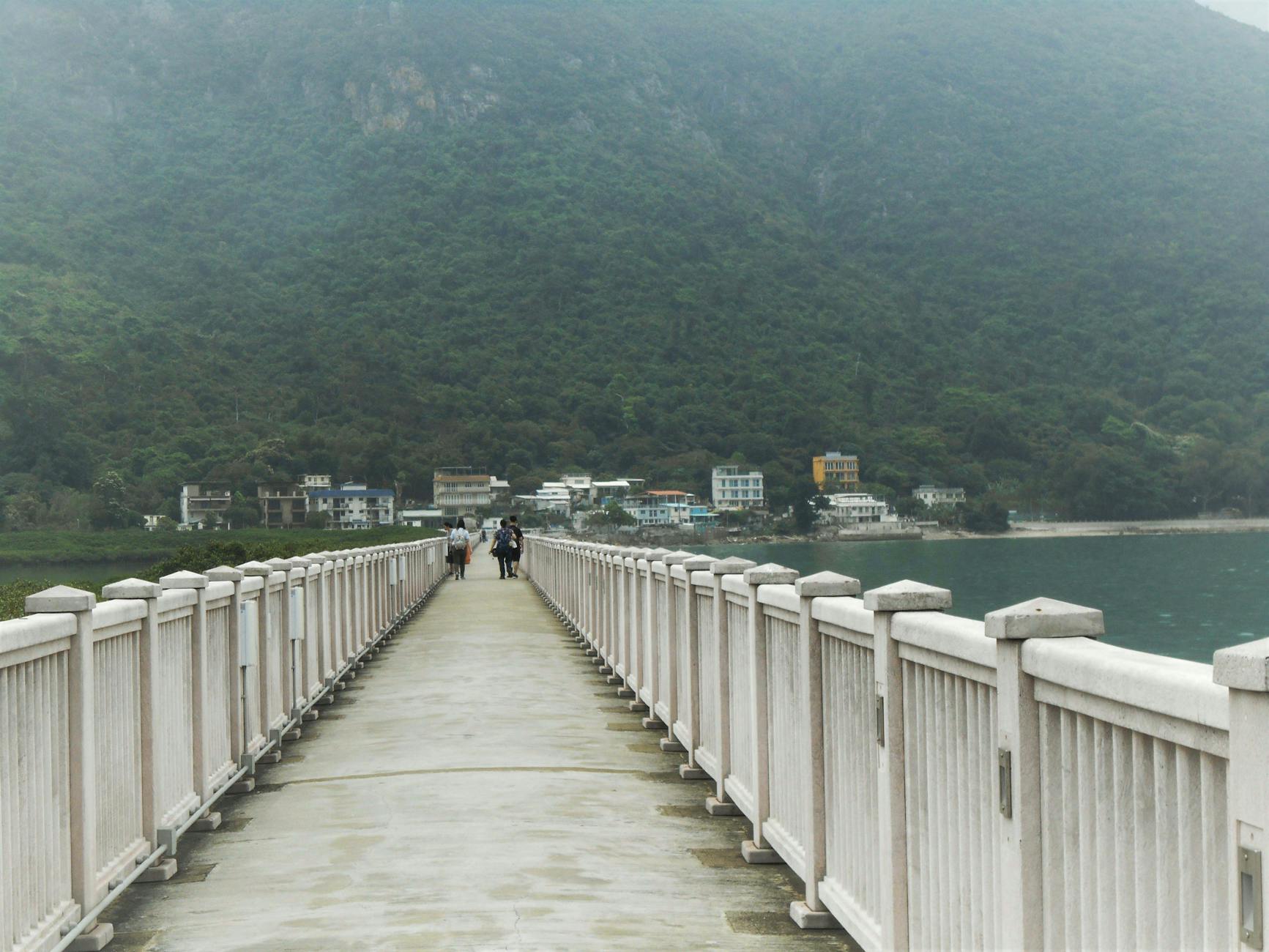 A picturesque pier leading towards lush mountains with a view of coastal buildings in Hong Kong.