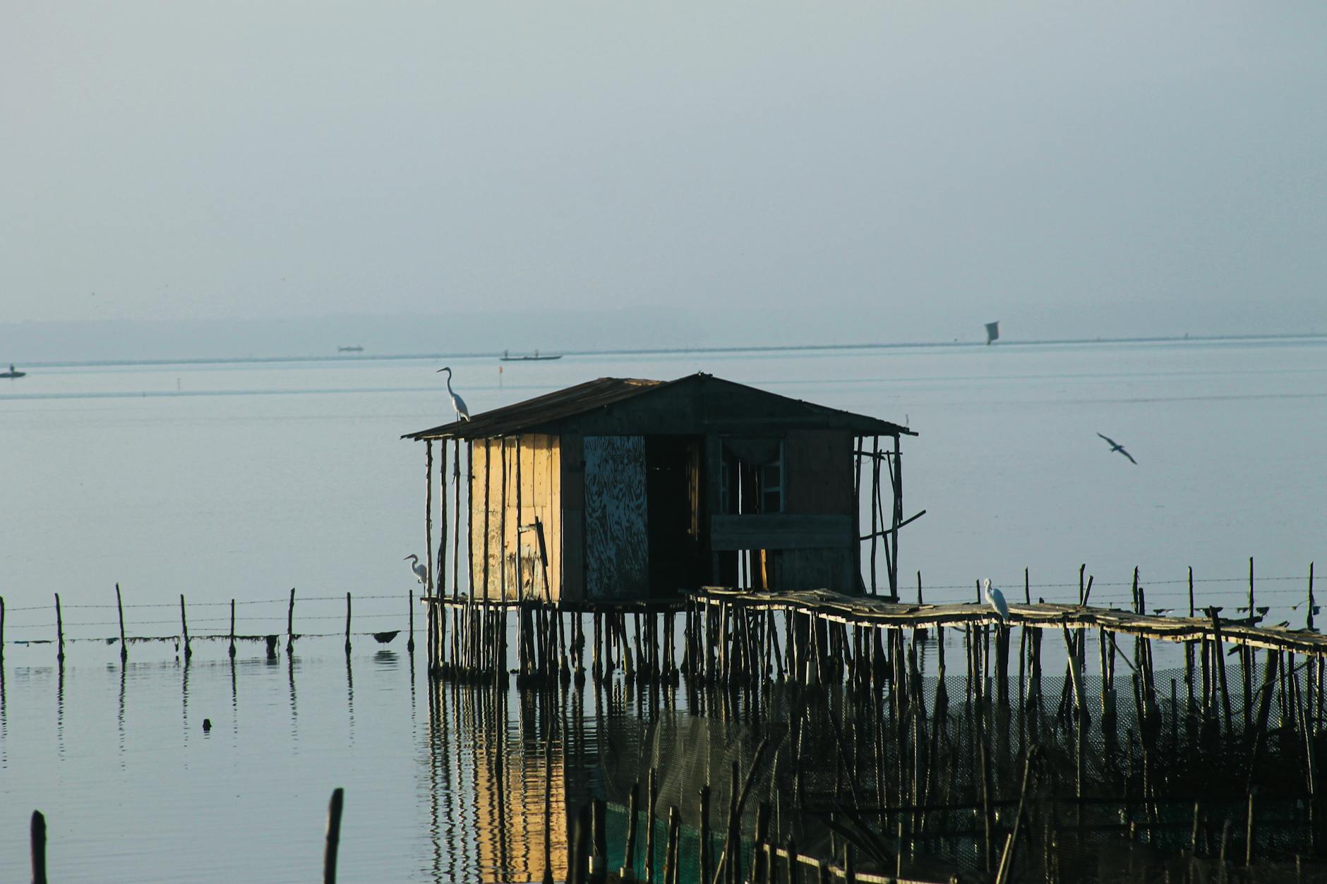 Stunning view of a rustic fishing hut on stilts over tranquil waters in Colombia, capturing serene coastal life.