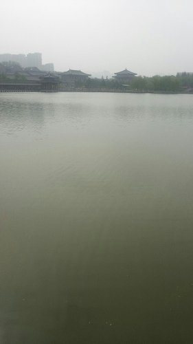 大唐芙蓉园 实景照片
