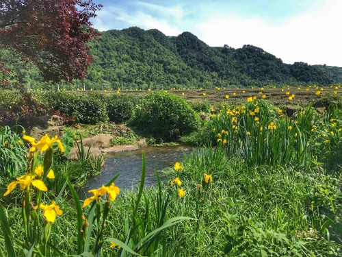 中国茶叶博物馆 实景照片