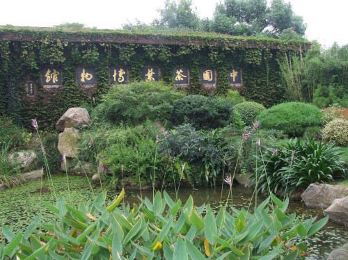 中国茶叶博物馆 实景照片