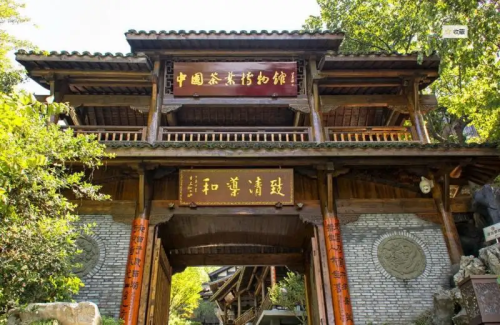 中国茶叶博物馆 实景照片