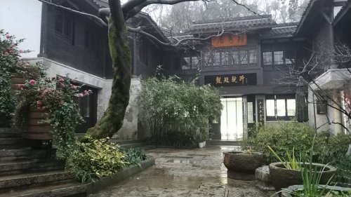 中国茶叶博物馆 实景照片
