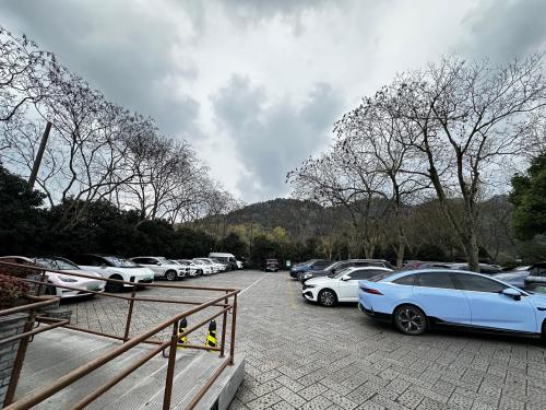 中国茶叶博物馆 实景照片