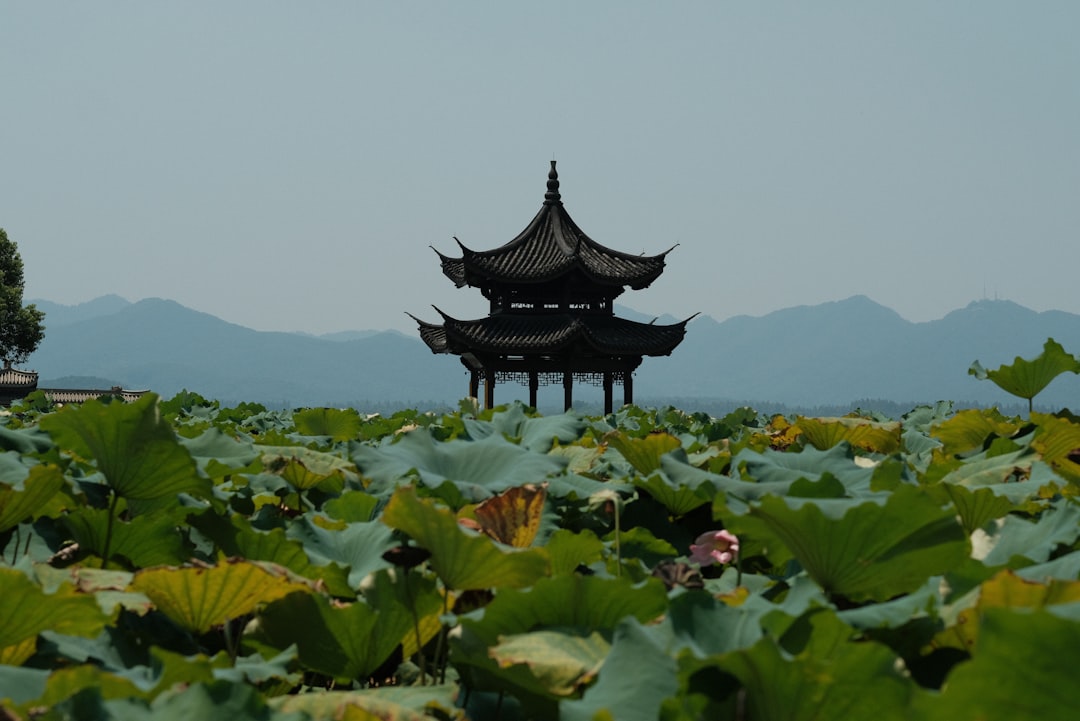 A large field with a pagoda in the middle of it