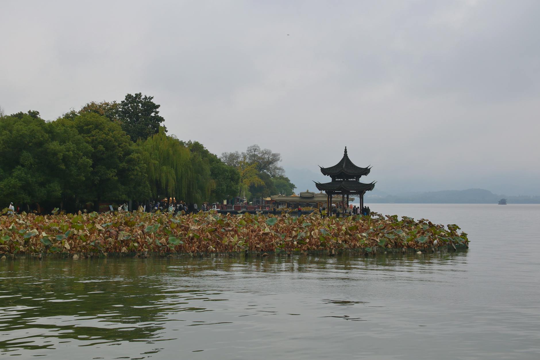 Tranquil scene of West Lake in Hangzhou, featuring a Chinese pagoda and lush surroundings.