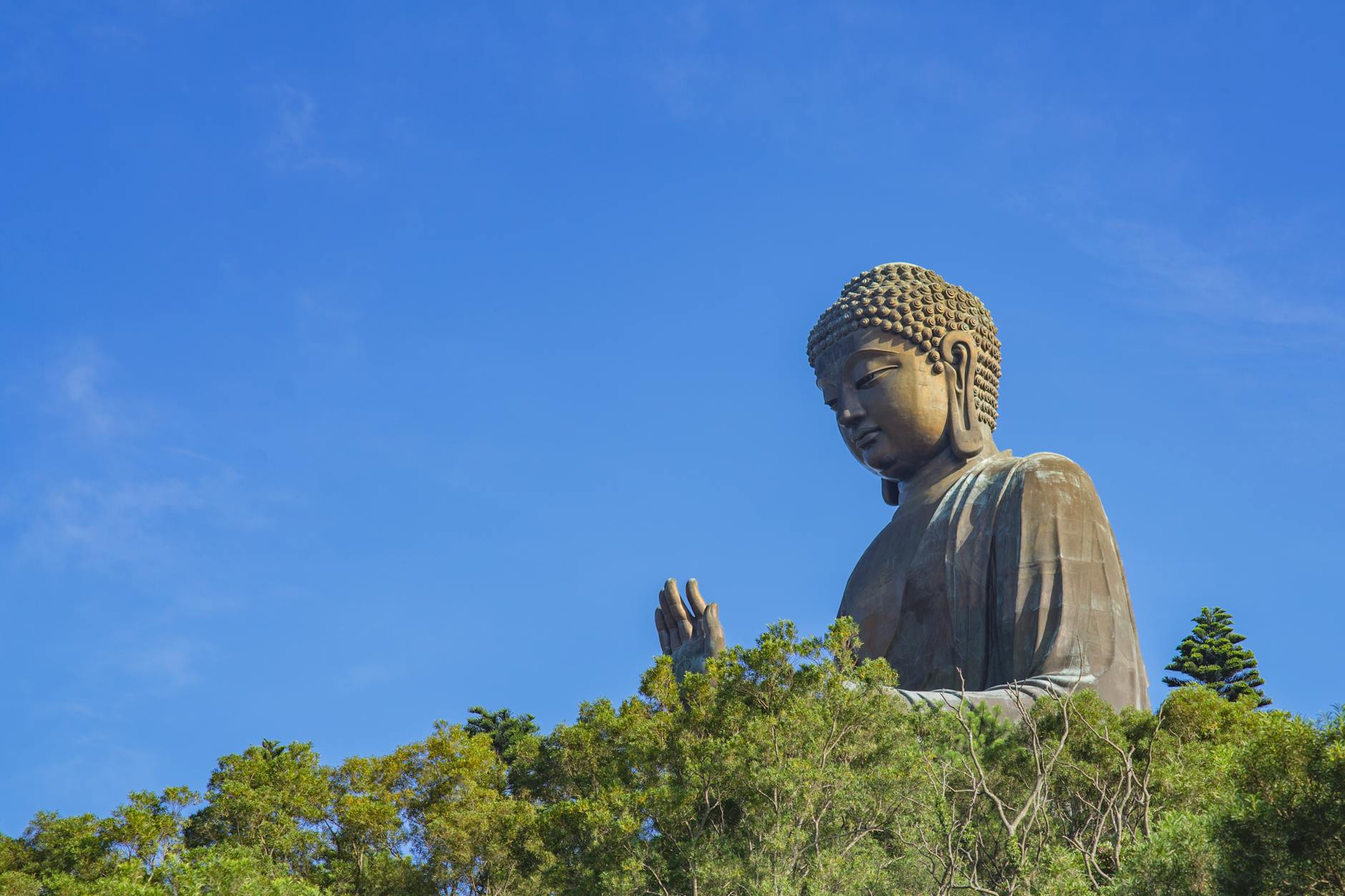 Tian Tan Buddha statue rises majestically above greenery under a clear blue sky in Hong Kong.
