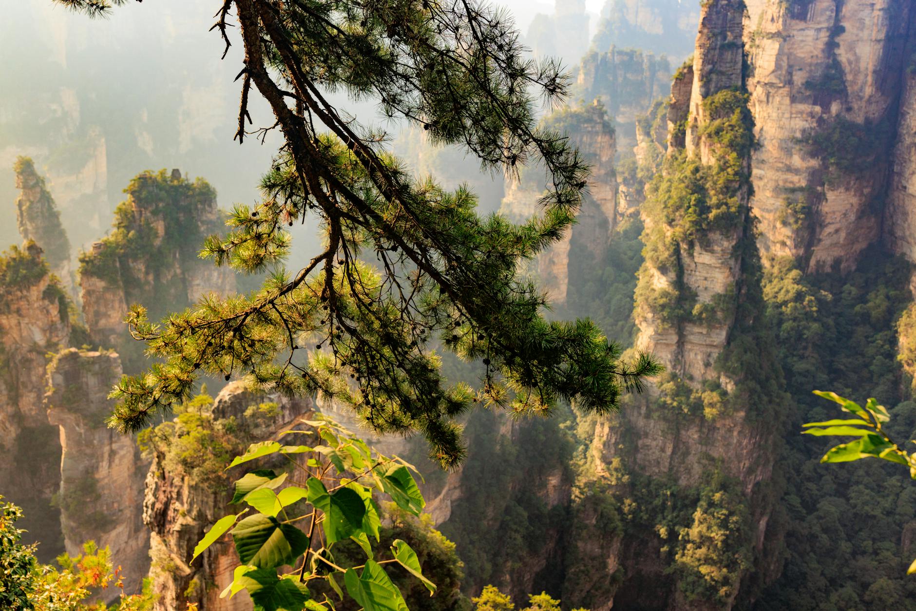 Tianzi Mountain