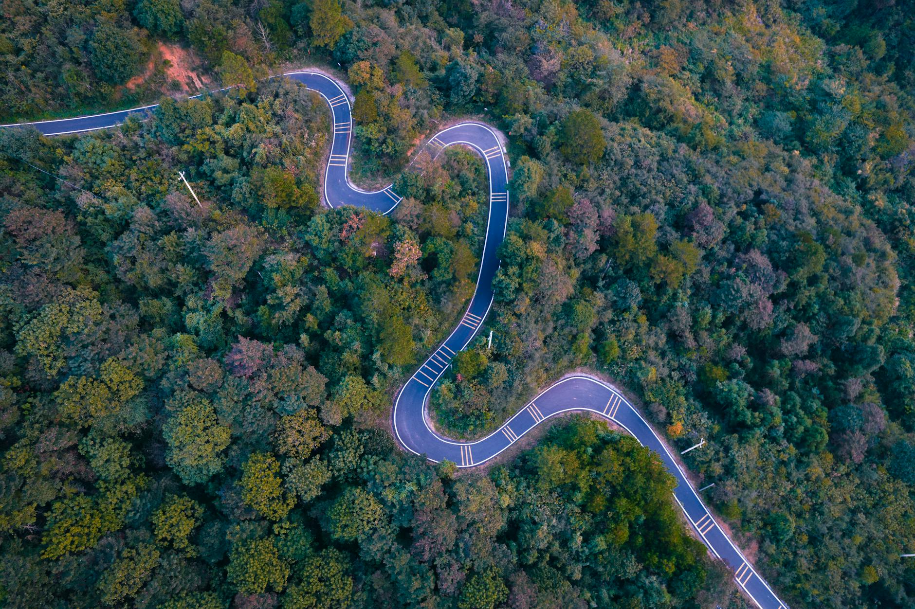 Explore the curves of a forested winding road in Jiujiang, Jiangxi, China from a bird's-eye view.