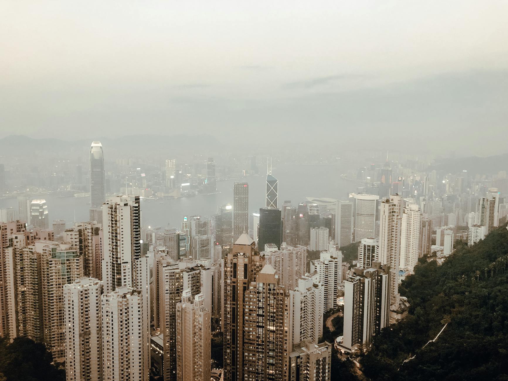 Drone view of contemporary megapolis with skyscrapers located near hill with green trees covered with mist in daylight