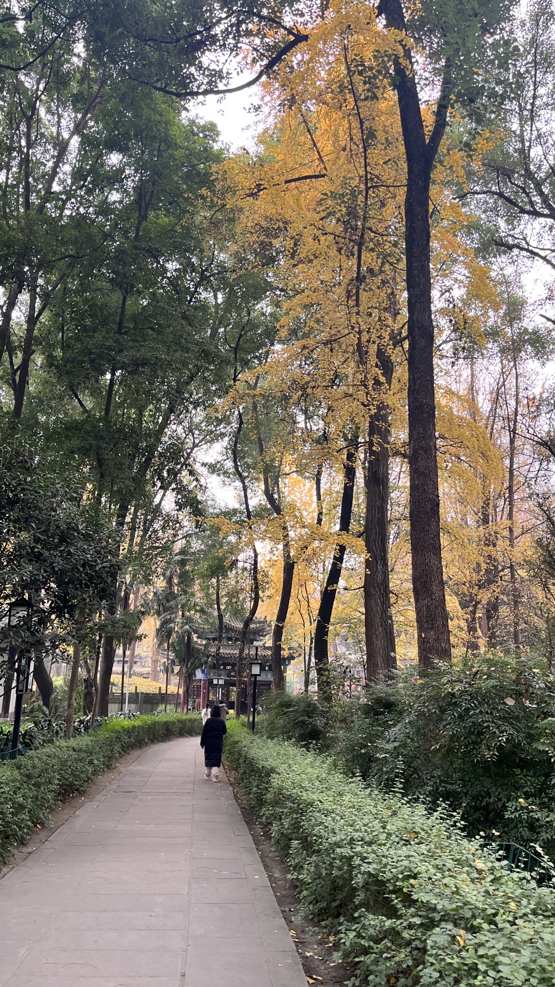 文殊院 实景照片