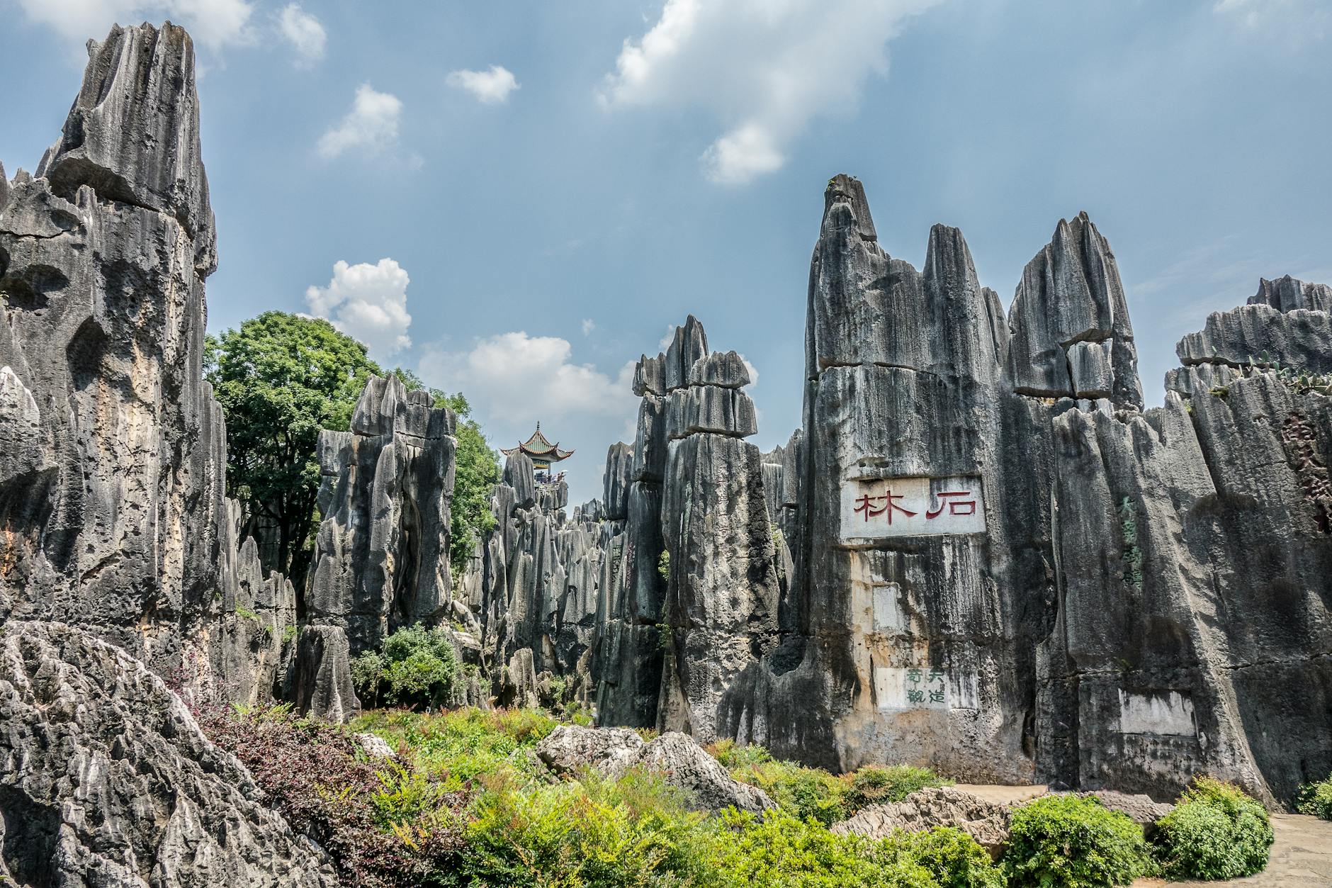 Discover the majestic limestone formations of the Stone Forest in Kunming, China, a UNESCO World Heritage site.