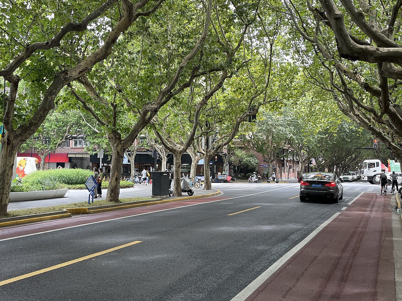 Xinhua Road near Panyu Road, Changning District