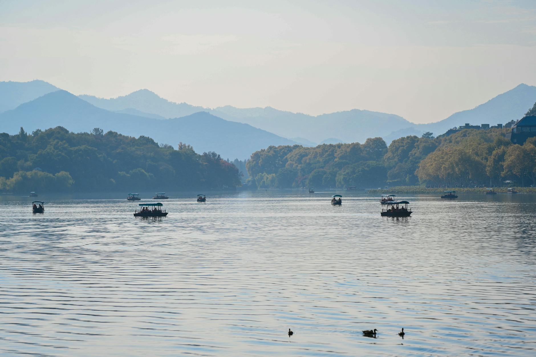 Tranquil scene of a lake with boats, ducks, and misty mountains in the background.