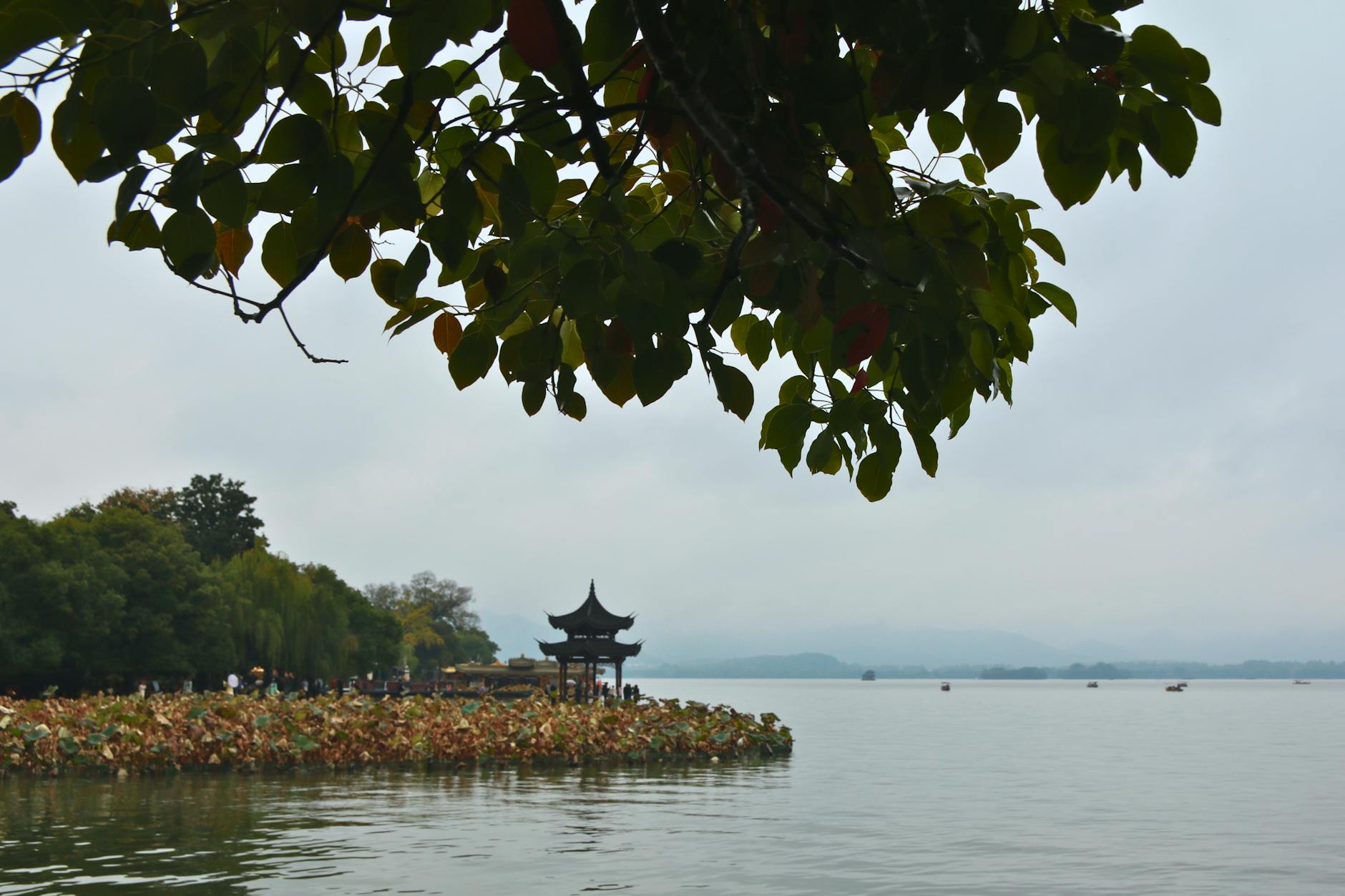 Picturesque scene of West Lake in Hangzhou, featuring a traditional Chinese pagoda and lush foliage.