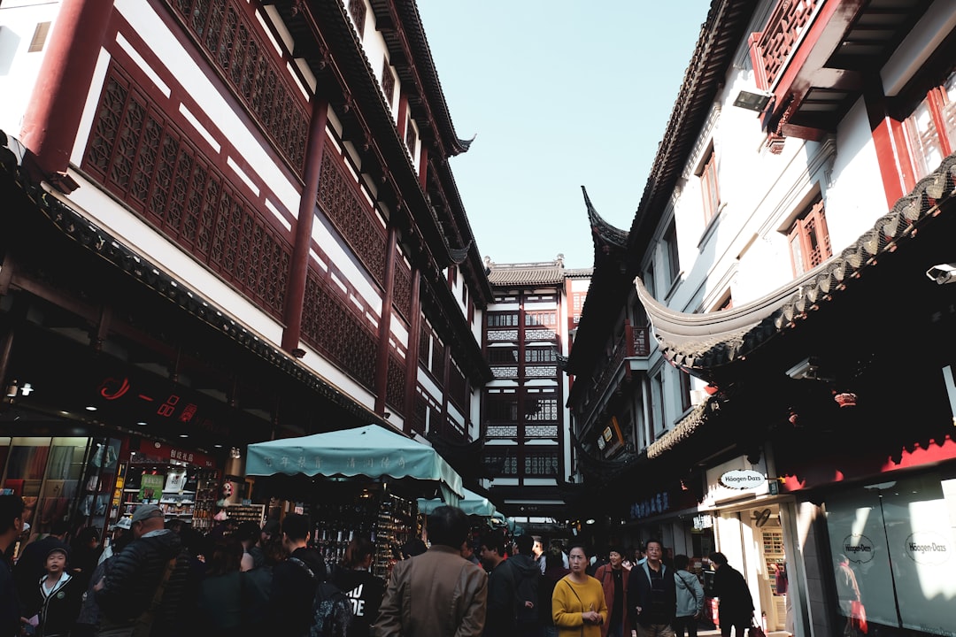 people walking on street during daytime