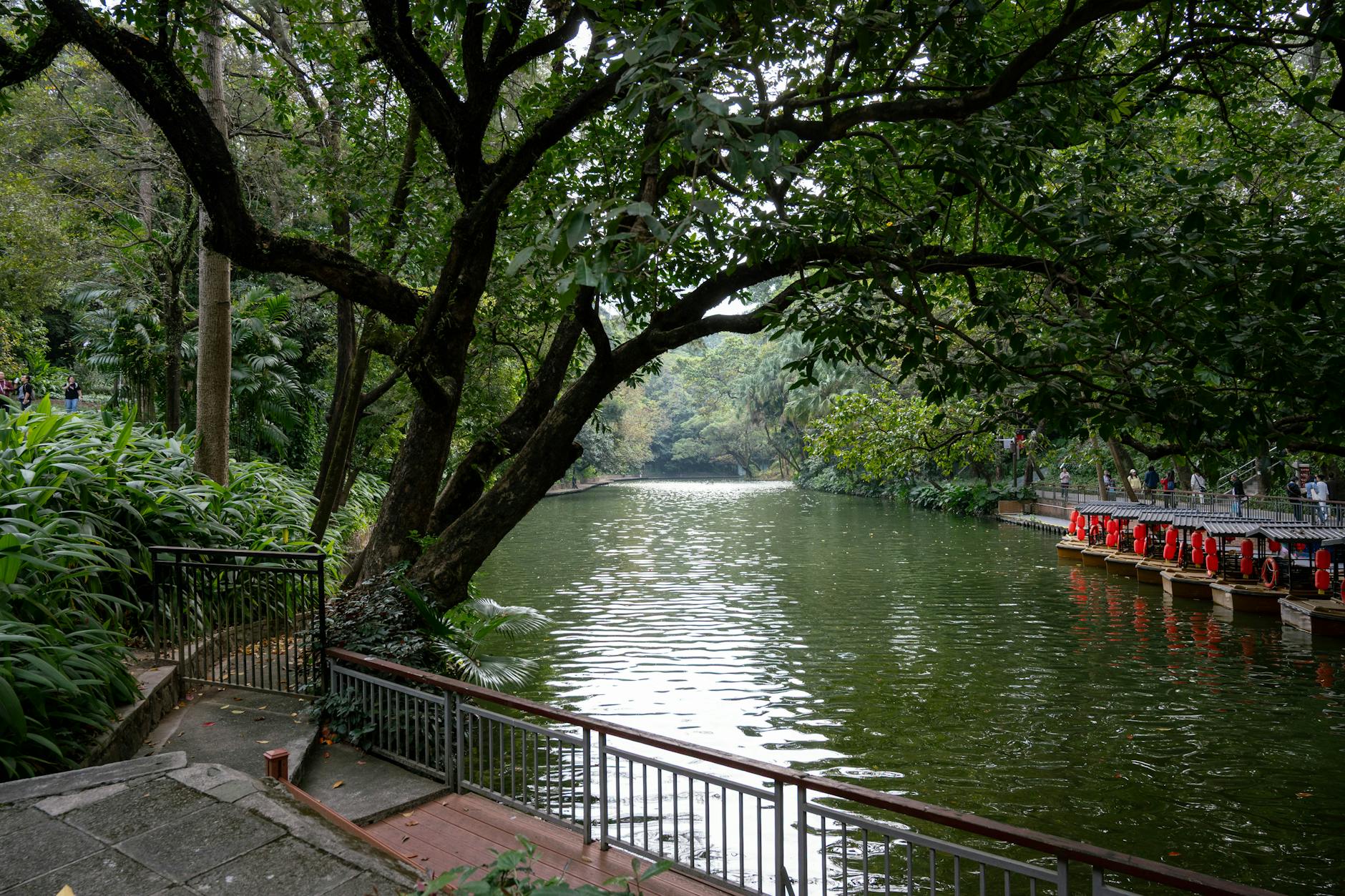 Lush greenery and calm river scene in Guangzhou park, perfect for nature enthusiasts.