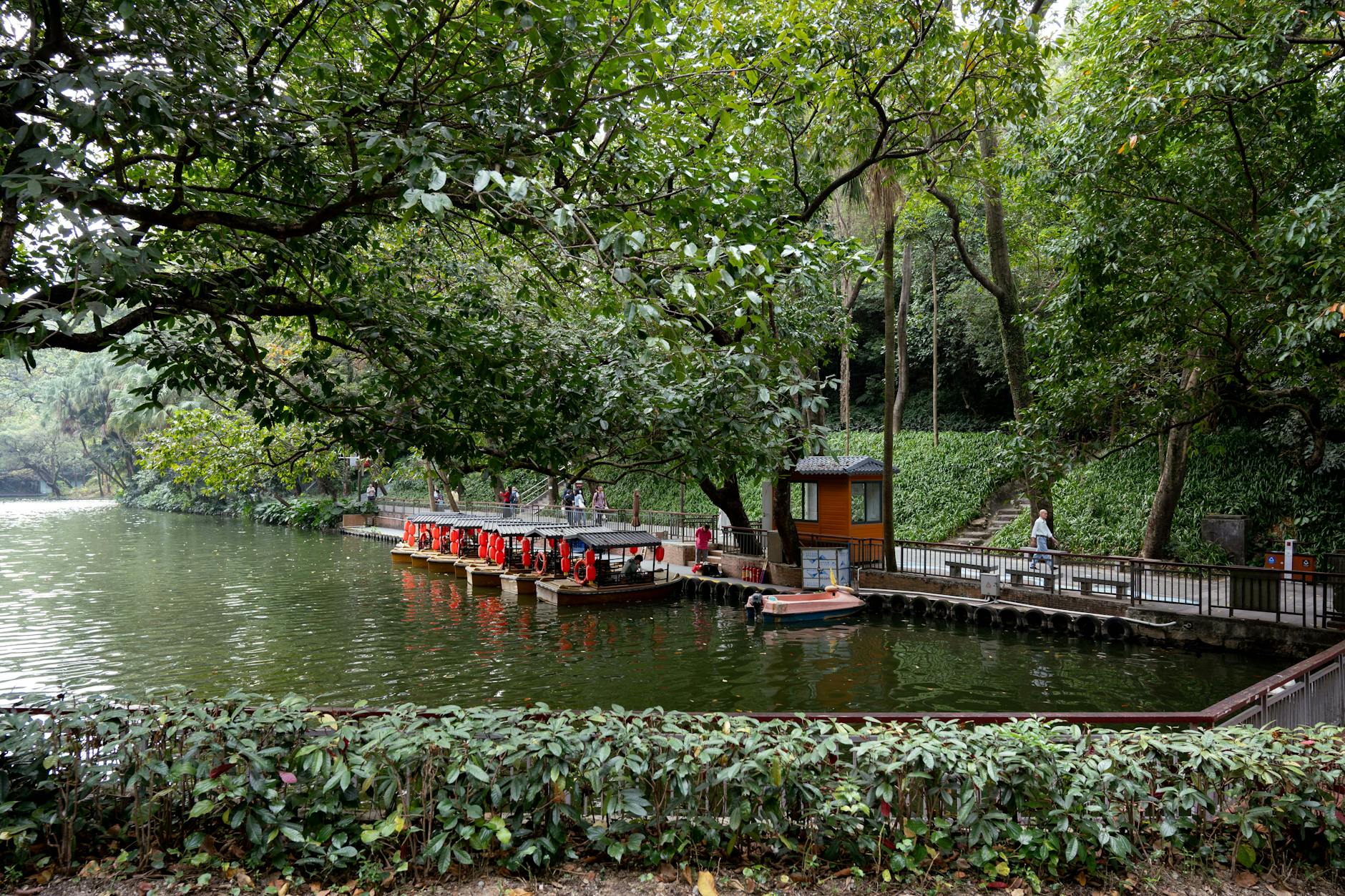 Peaceful park scene by a river with lush greenery and people enjoying a walk.
