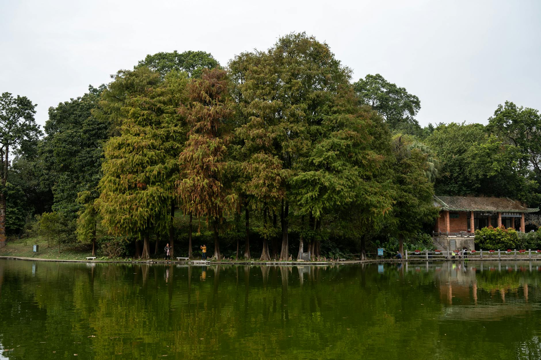 Peaceful lake surrounded by lush trees and traditional architecture in Guangzhou, China.
